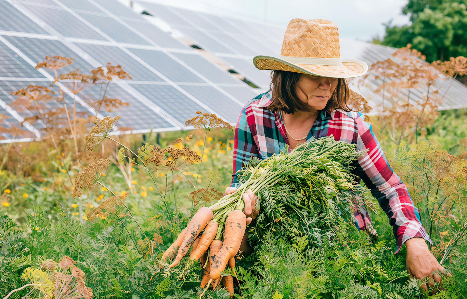 mujer cultivando verduras