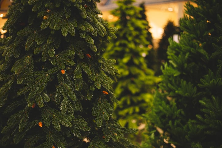 árbol de navidad