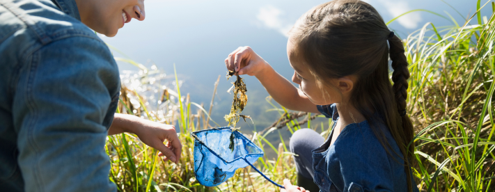 Con especial atención, impactos en las zonas más sensibles y óptimas en biodiversidad