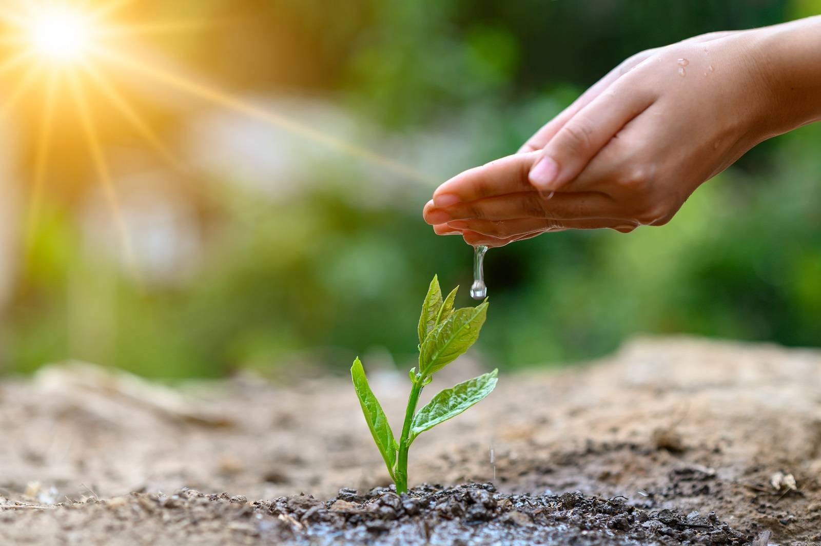 im-la-reduccion-del-consumo-del-agua-es-un-reto-del-presente-cab.jpg