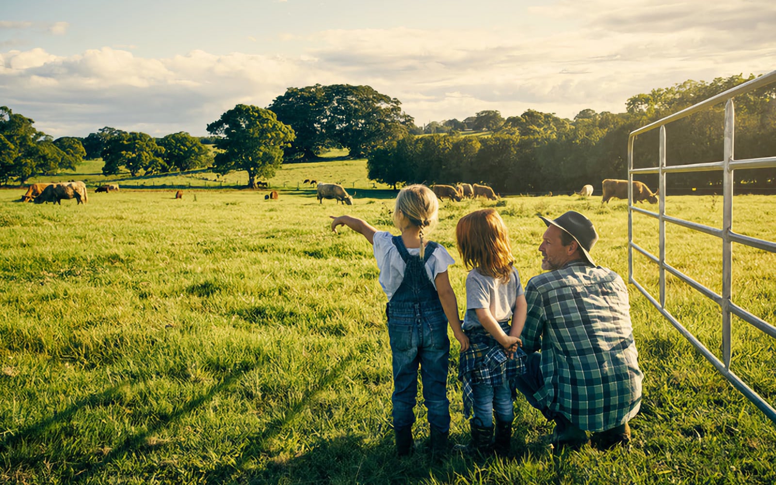 campo ganadero y familia